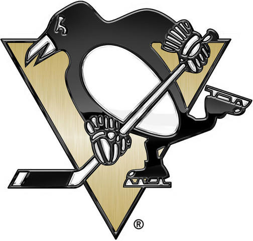 Pittsburgh Penguins 2014 Special Event Logo iron on transfers for fabric...